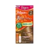 비겐 향기 물감 유액 2 40g 60ml