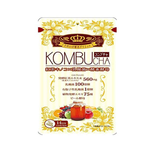 kombucha 42알