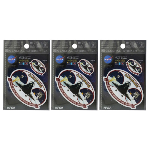 517 nasa 비닐 스티커 나사 036 3개1세트
