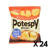 포테스피 록솔트 맛 55g 24개 세트