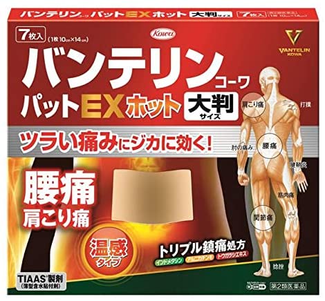 반테린 코와 팻 ex 핫 대형 사이즈 7 장