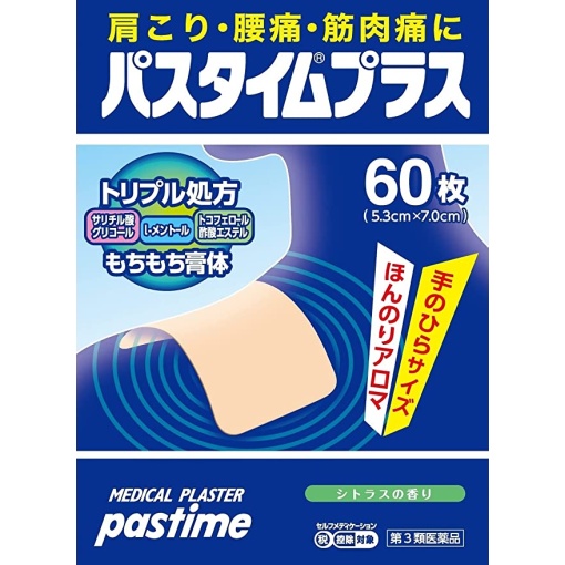 패스 타임 플러스 60장