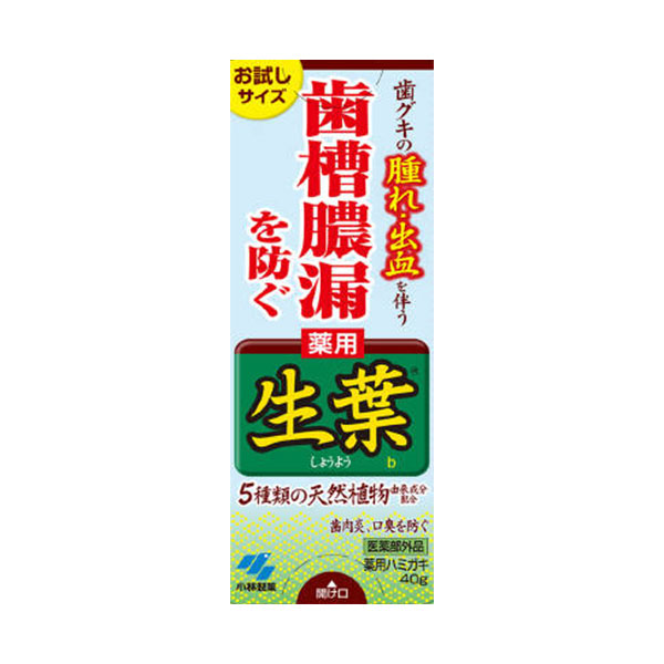 생잎 시험 사이즈 40g