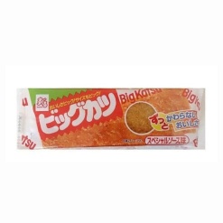 스구루 빅카츠 1장
