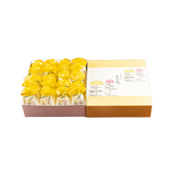 분메이도(문명당) 조약돌 국화 20봉지