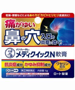 맨소래담 메디퀵 N 연고 6g