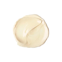 LUSH 러쉬 바이오믹 바디크림 100g