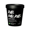 LUSH 러쉬 솔티락 바디스크럽 300g