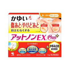 앳논 EX 플러스 10g