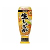 하우스식품 생강 페이스트 대용량 160g